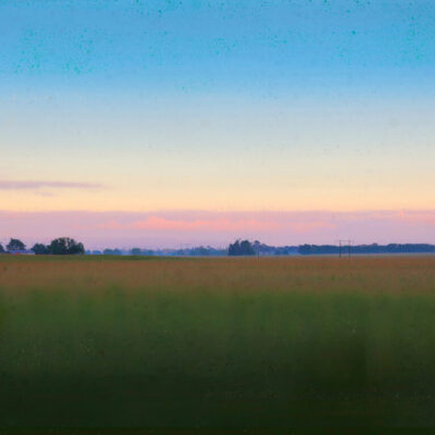 Dawn White Pine Bush | Inkjet and enamel on watercolour paper | 1130mm x 870mm framed | Edition 2/10 - $1800